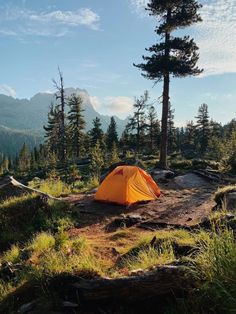 a tent pitched up in the wilderness with trees and mountains in the backgroud