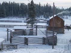 a horse pen in the middle of winter with snow on the ground and trees around it