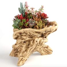 a planter made out of driftwood with succulents and flowers in it