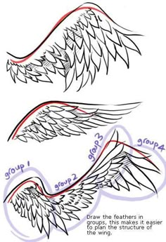 how to draw an angel wing with two different wings and the words, step by step