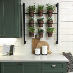 a kitchen counter with green cabinets and potted plants on the wall above it,