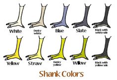 the different colors of socks are shown in this cartoon, which shows what they look like