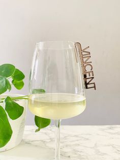 a glass of white wine next to a potted plant