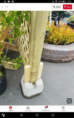 an image of a wooden post in the middle of some plants and potted trees