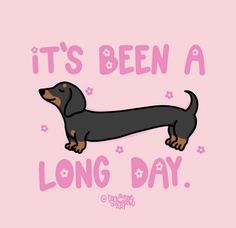 a black and brown dachshund dog on a pink background with the words it's been a long day