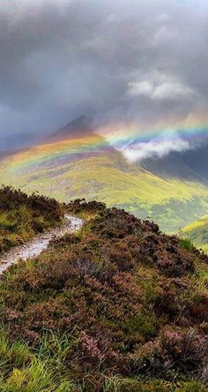 a rainbow in the sky over a grassy hill with a trail leading up to it