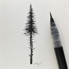 a black and white drawing of a pine tree on paper with a pen in it