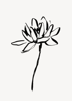 a black and white drawing of a flower