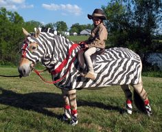 a young boy riding on the back of a fake zebra in a field with trees