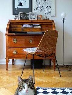 a cat sitting on the floor in front of a desk with a chair next to it