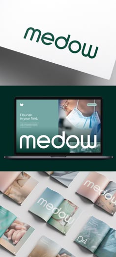 the medical brochure is displayed in front of a white box with green lettering on it