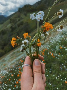 a person holding flowers in their hand on the side of a hill with wildflowers