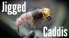 a close up of a fly with the words iggged caddis on it