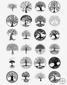 the tree of life is depicted in this black and white drawing, which depicts different types of trees