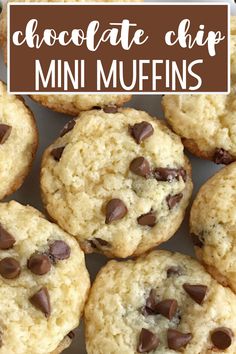 chocolate chip mini muffins on a plate with text overlay that reads, chocolate chip mini muffins