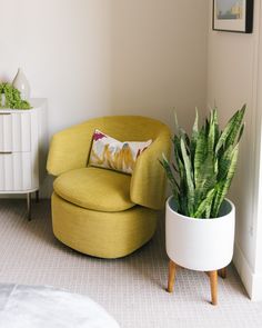 a living room with a yellow chair and potted plant