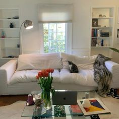 a living room filled with furniture and a cat on top of the white couches