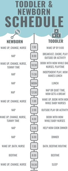 the schedule for toddler and newborn schedules is shown in yellow, blue, and white