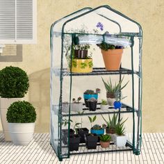 a green house with potted plants in it on a tiled floor next to a window