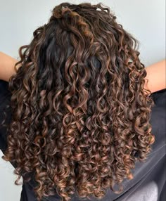 Hair Color In Curly Hair, Cinnamon Hair Highlights, Honey Brown Curls With Highlights, Light Brown Highlights Curly Hair, Golden Highlights On Dark Hair, Dark Brown Curly Hair Balayage, Best Hair Color For Curly Hair, Copper Balayage On Black Hair, Warm Tone Balayage