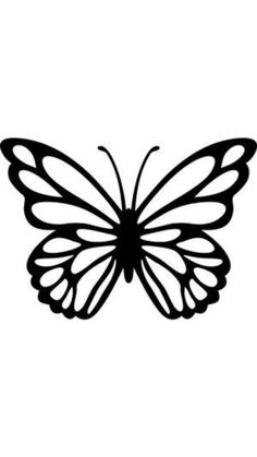 a black and white drawing of a butterfly