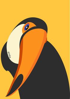 an orange and black toucan with blue eyes