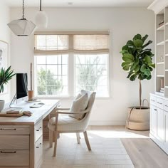 a home office with white walls and wooden floors, along with a large potted plant on the desk