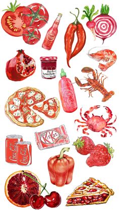 watercolor painting of various foods and drinks on white background, including tomatoes, pepperoni, shrimp, tomato sauce, craw