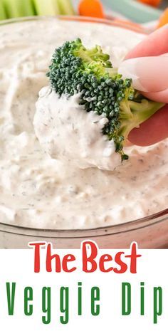 This is the best easy dip for vegetable. All you need is sour cream, mayo, and spices in your pantry. My favorite easy appetizer! Serve with baby carrots, snap peas, cucumber bell peppers, broccoli, or your favorite raw vegetables Broccoli Dipping Sauce, Vegetable Dips Recipes Easy, Homemade Vegetable Dip, Homemade Veggie Dip, Best Veggie Dip, Veggies Dip, Veggie Dips, Dip For Veggies, Veggie Dip Recipe