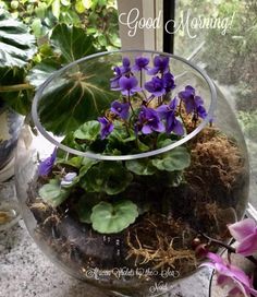 a glass bowl filled with purple flowers on top of a table