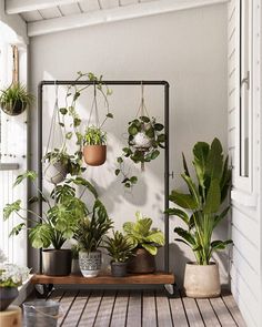 several potted plants are hanging on the wall