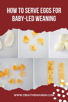 Look through our in-depth guide to see how to introduce eggs for baby-led weaning. Sugar Free Muffins, Baby Led Weaning First Foods, Cooking Hard Boiled Eggs, Egg Benefits, Making Hard Boiled Eggs, Egg Omelet, Runny Eggs, Egg Allergy, How To Make Eggs