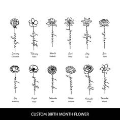 the different types of flowers that can be found in each flower arrangement, from birth month to valentine's day