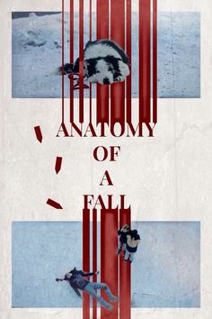 the anatomy of a fall movie poster with two people standing in front of an animal