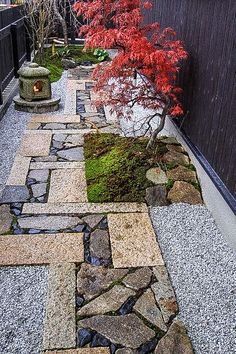 a small garden with rocks and plants in it