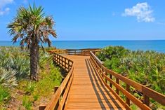 a wooden walkway leading to the beach with palm trees