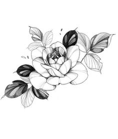 a black and white drawing of a flower