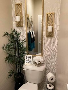 a white toilet sitting in a bathroom next to a tall mirror and a potted plant