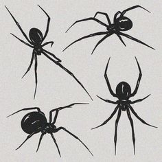 four black spider silhouettes are shown in three different poses, one on the left and one on the right