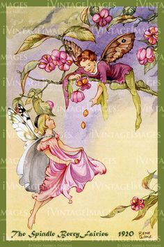 Rene Cloke, Margaret Tarrant, Fairy Paintings, Fairy Folk, Fairy Drawings, Fairy Images, Wee Folk