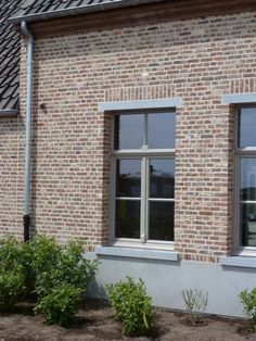 two windows on the side of a brick building with plants and shrubs in front of them