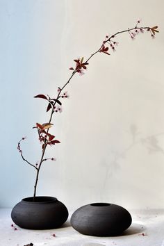 two black vases with flowers in them on a table