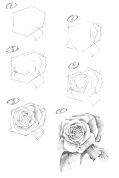 How to draw a rose. Step-by-step drawing tutorial. Rose Shading, Rose Drawing Simple, Flowers Step By Step, Draw A Rose, Simple Flower Drawing, Rose Sketch, Home Aesthetics, Flower Drawing Tutorials