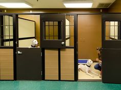 two dogs are sitting on the floor in front of their kennels and one dog is laying down