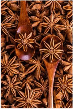 several wooden spoons with star anise on them are surrounded by many other spices