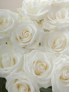 a bunch of white roses are in a vase