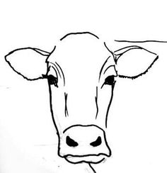 a black and white drawing of a cow's face with the nose looking straight ahead