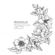 a black and white drawing of flowers with the words magnania written in front of it