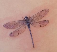 a dragonfly tattoo on the back of a woman's stomach