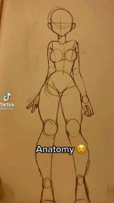 a drawing of a woman's body with the words anatomy written in front of it